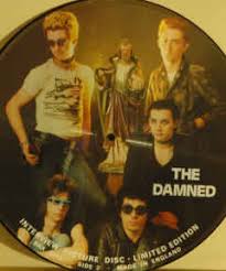 DAMNED, THE - Ltd. Ed. Interview Picture Disc-0
