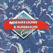 VARIOUS ARTISTS -Mushroom Evolution Concert-0