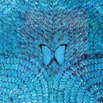 SANTANA - Borboletta