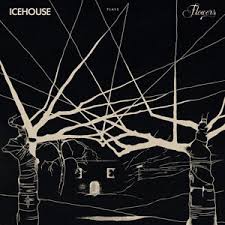 ICEHOUSE - Plays Flowers