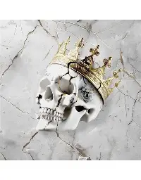 JELLY ROLL Beautifully Broken